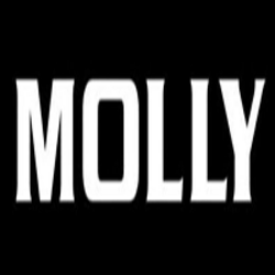 Molly AI
